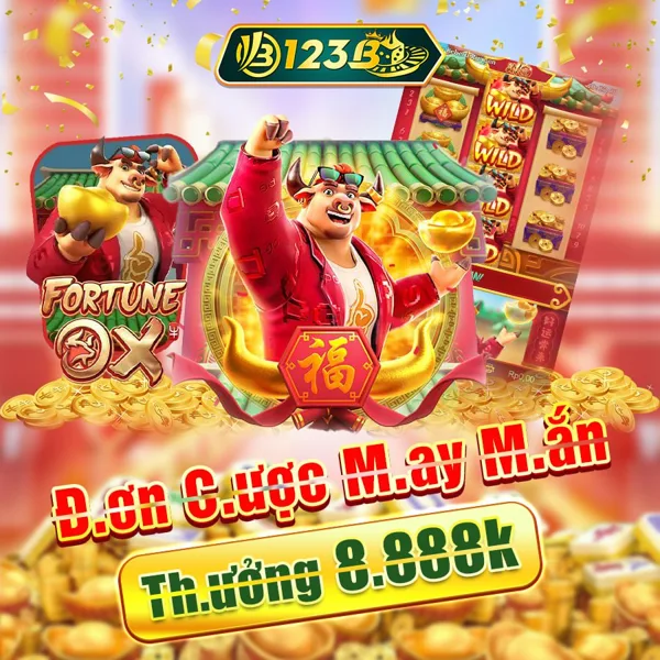 123B Slot Chống Gãy Cầu Việt Nam